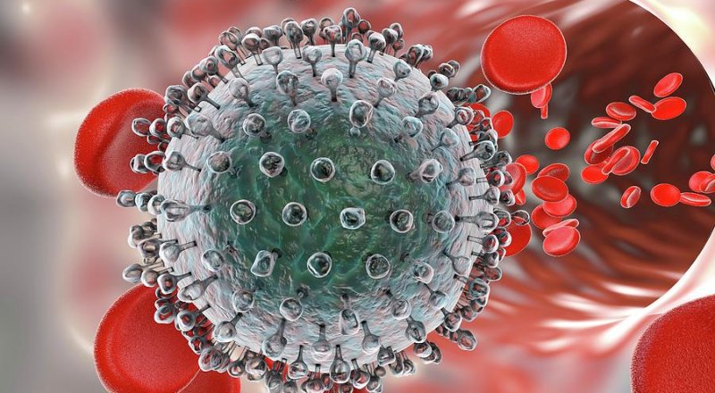 Hepatit D virusu (HDV) - əlamətləri, fəsadları və müalicəsi