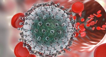 Hepatit D virusu (HDV) - əlamətləri, fəsadları və müalicəsi